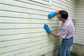 Affordable siding repair and maintenance services in Discovery Bay, CA